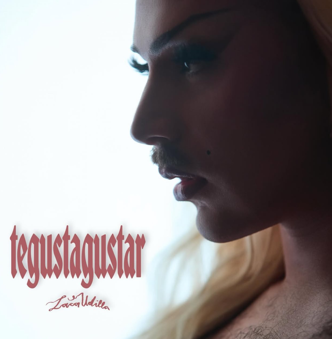 portada de tegustagustar laca udilla